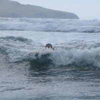 Brendan Dunbar