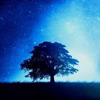 عبدالعزيز ضباب