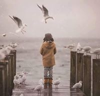 دينا محمد هلال