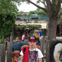 Н. Мөнхтулга