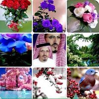 ابوالعنود الحارثي