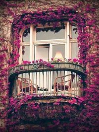 حسناء شاهين