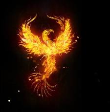 Avephoenix Rising