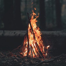 عمر أبوهاشم