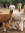 thelonealpaca