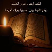 محمد عبد العزيز