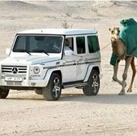 Стайко Христов