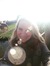 Sanne