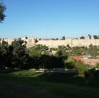 الطائر الازرق