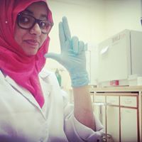 Rabia Sultan
