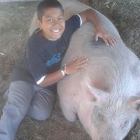 Nain Ambriz