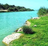 التومي بن بلقاسم