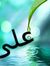 علي شرقاوي