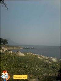 Balqhis Cassiopeiarmy