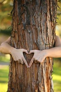 Tree Hugging