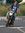 Vinay P...