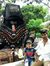 Manoj P...
