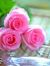 رفقه احمد