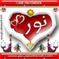 ولاء عبد الحميد