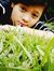 Thinley...