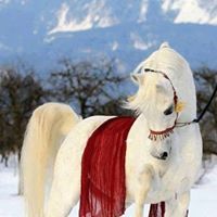 الزهراء أسوتى