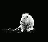 روعة الحنين