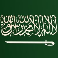 ضياء العناني