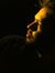 Anupam ...