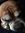 Traci R...