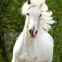 روشتات علاجيه