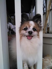 Gerald C. Schermerhorn