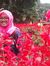 Nesti N...