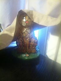 Stephanie Chamberlain