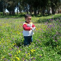 عبد الرحمان