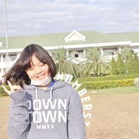 หมี หมีหมี