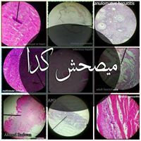 Môhäměđ Rmâđäň