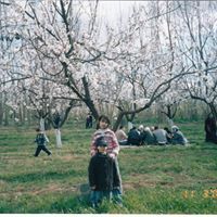 Jowayn Khaldi