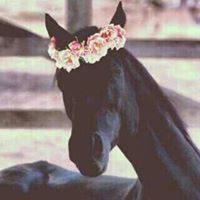 تغريد السعد