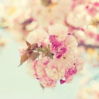 Nony Jassim