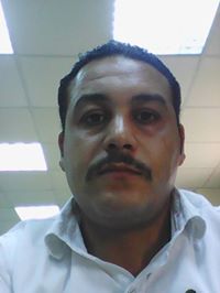 الصقر المنتقم