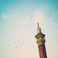 فتاة التوحيد