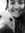 Katherine | 10 comments