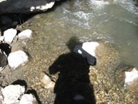 Daniel Leø Møsquera 