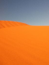 زياد الغامدي