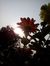 Tushar ...
