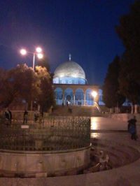 الوردة الجورية