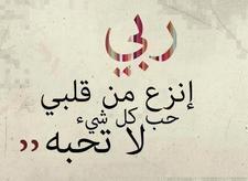 Amr Mohamed