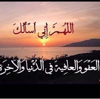 أبوربيع الحاج