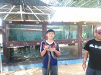 Arif Windiargo