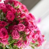 فاطمه العطاس